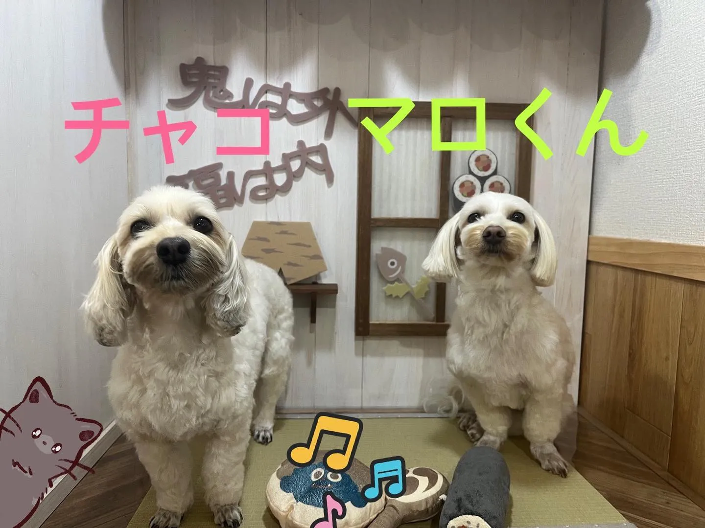 看板犬のチャコ🐶