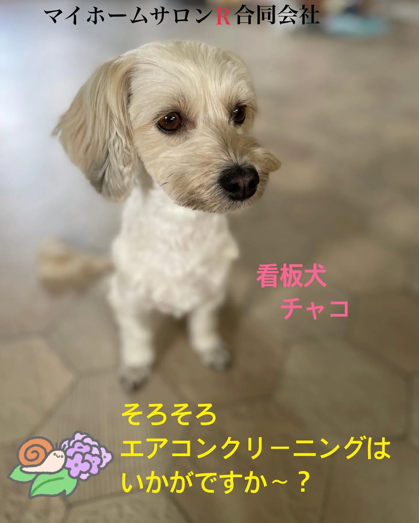 もうすぐ梅雨の季節になりますね☔️